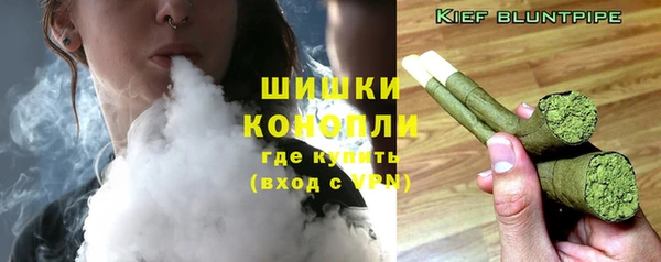 молекула духа Заводоуковск