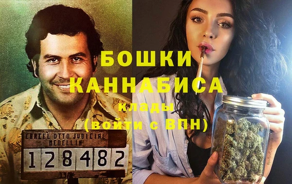 молекула духа Заводоуковск