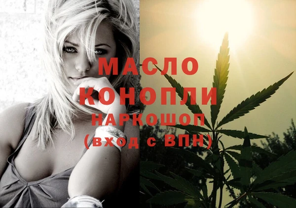 молекула духа Заводоуковск