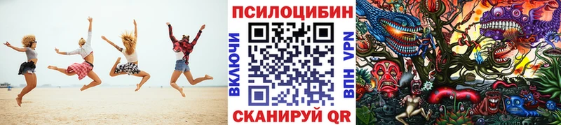 Псилоцибиновые грибы Psilocybine cubensis  наркота  Западная Двина 