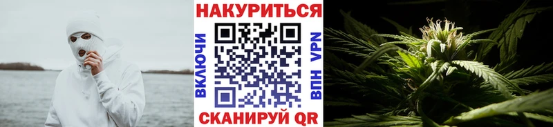 Конопля MAZAR  omg зеркало  Западная Двина  закладка 